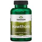 Swanson Hawthorn Extract, 500mg 120 caps