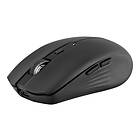 TNB Souris MWGRADIENTBK