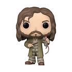 Funko Pop! Harry Potter Sirius Black With Wormtail N°159