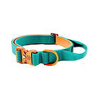 Orange BullyBillows Combat Hundhalsband Turkos och XS 2,5 cm