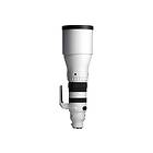 Sigma 300-600mm f/4 DG OS Sports Sony FE