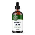 Vimergy Liquid Olive Leaf 115ml