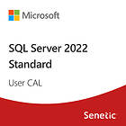Microsoft SQL Server 2022 1 User CAL