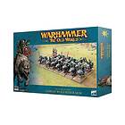 Warhammer The Old World Orc & Goblin Tribes Goblin Wolf Rider Mob