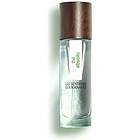 Les Senteurs Gourmandes The Absolu edp 15ml