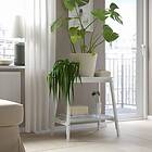 IKEA KÖRSBÄRSBJÖRK kruka 24 cm