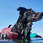 Hurtta Life Savior ECO Hundflytväst Lila (15-20 cm)