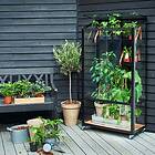 Fristående Växthus För Balkong Juliana City Greenhouse