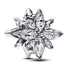 Pandora Moments Pole Star silver berlock 793591C01