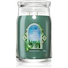Yankee Candle Olive & Cypress 567g