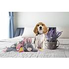 Holland Animal Care Hundeleke kaninbamse