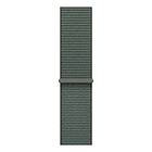 Apple 46mm Sage Sport Loop