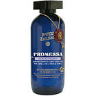 Opificio Emiliano Promessa Replumping And Bodifying Shampoo 100ml