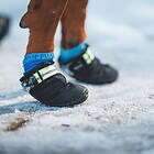 Ruffwear Summit Trex Hundsko (38mm)