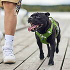 Hurtta Weekend Warrior II ECO Hundsele (40-50)
