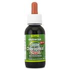 Alkaline Care Liquid ChloropHeal Mint 60ml