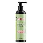Mielle Organics Rosemary Mint Multi-Vitamin Daily Styling Crème 240ml