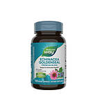 Nature's Way Echinacea Goldenseal Premium Blend