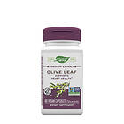 Nature's Way Olive Leaf Premium Extract