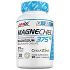 Amix Performance Magnesium Chelate 90 Capsules