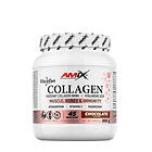 Amix Viscofan Collagen Drink, Chocolate- 300g