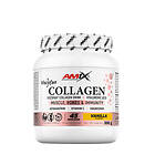 Amix Viscofan Collagen Drink, Vanilla- 300g
