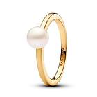 Pandora Timeless 163157C01-50