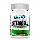 SNS Biotech Stemcelll 90 caps