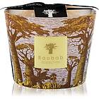 Baobab Collection Sacred Trees Cocody doftljus 10cm