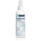 Olival Magnesium Muscle Regenerating Oil 100ml