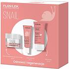 FlosLek Laboratorium Set Hand Snail Presentförpackning
