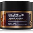 Farmona Jantar Amber Essence Taming Mask 200ml