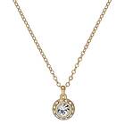 Ted Baker Soltell  06-TBJ3695-02-02