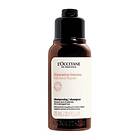 L'Occitane Intensive Repair Schampo 75ml