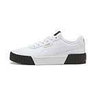 Puma Carina 3,0 (Dam)