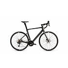 Gavia Imperiale Carbon
