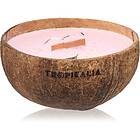 Tropicandle Frozen Cranberry doftljus trä wick 350ml