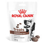 Royal Canin Veterinary Urinary S/O Treats 6x230g