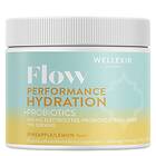 Wellexir Flow Performance Hydration Tub 300g