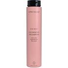 Löwengrip Shine Bright Glossing Shampoo 250ml