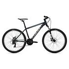 Coluer Ascent 262