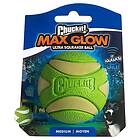 Chuckit! Max Glow Ultra Squeaker Ball M