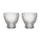 Kosta Boda Moss tumbler glas 33cl 2-pack