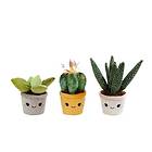 Take Me Home Green Plush plant (154930)
