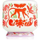 Paddywax A Dopo Jungle 226g