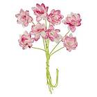 ScrapBerrys Pappersblommor Chrysanthemum 20 mm White Pink 8 st