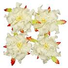 ScrapBerrys Pappersblommor Gardenia 50 mm White 4 st