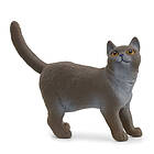 Schleich Brittiskt korthår figur 13973