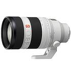 Sony FE 50-150mm f/2.0 GM
