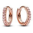 Pandora Timeless 14k rose gold plated örhänge pink cz 283015C01